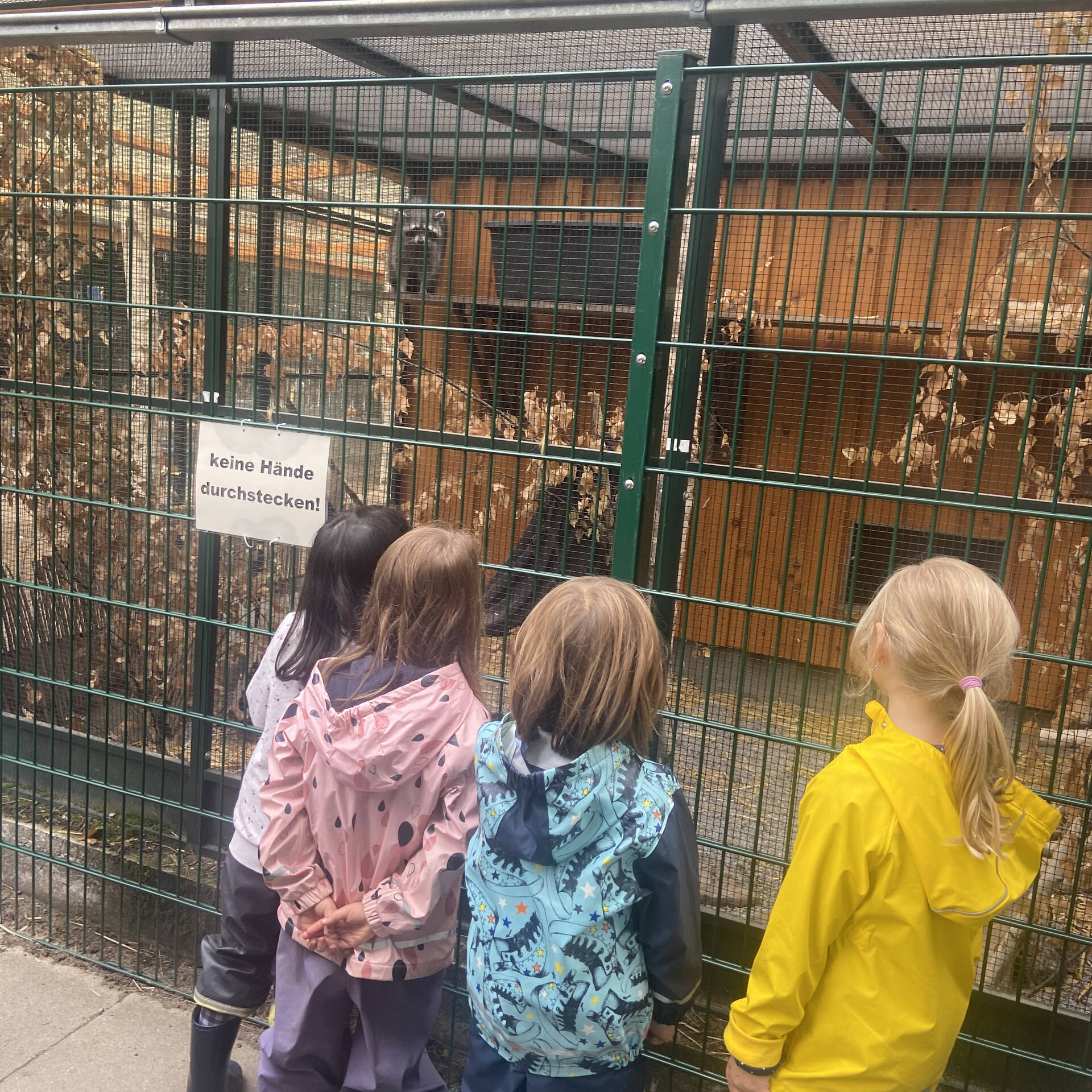 Vier Kinder stehen vor einer Gehege