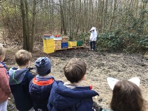 Kinder stehen entfernt von Bienenstöcken.