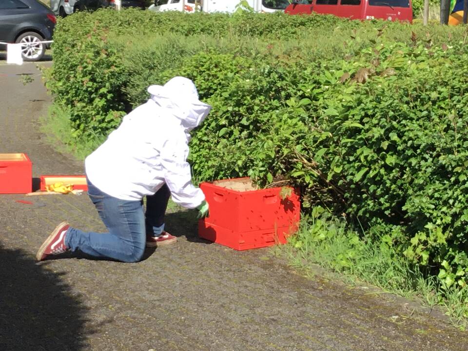 Ein Imker stellt eine rote Kiste in die Hecke.