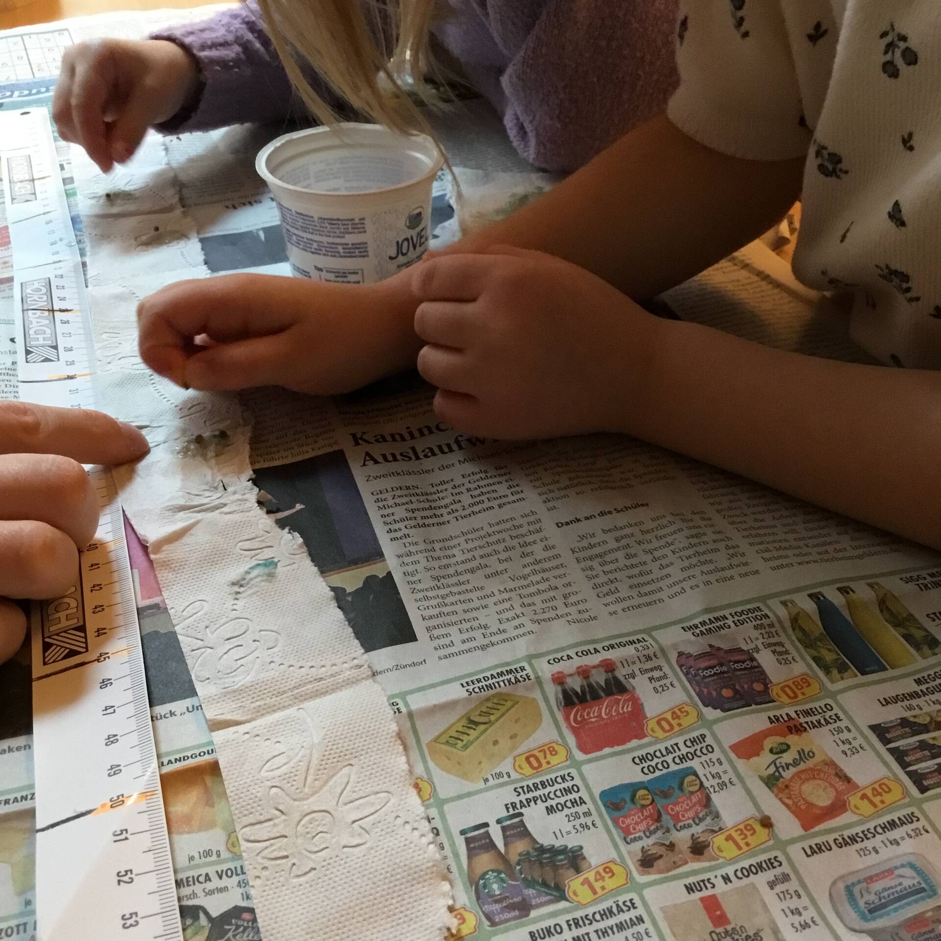 Kinderhände die Samen auf ausgerolltes Toilettenpapier legen.