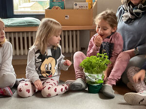 Kinder probieren Schnittlauch.
