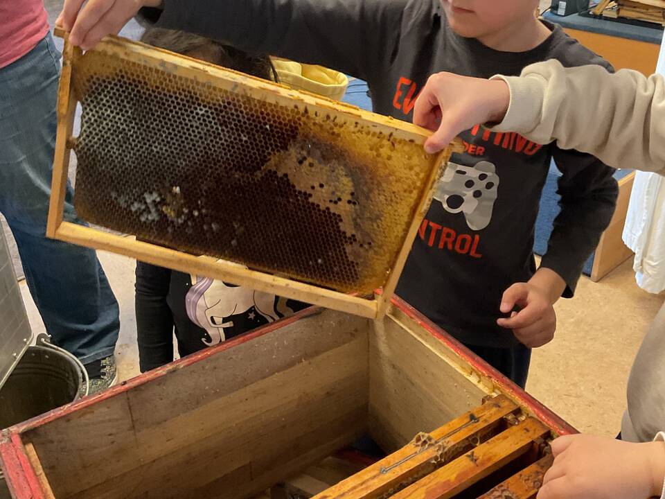 Alte Rahmen werden aus der Beute genommen.