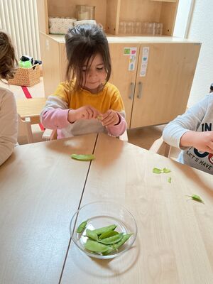 Kinder öffnen die Erbsen