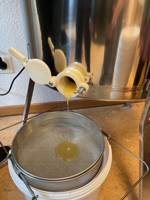 Honig läuft auss einem Gefäß in ein Sieb.