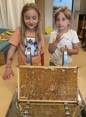 Zwei Mädchen stehen hinter einem Bienenwabenrahmen.