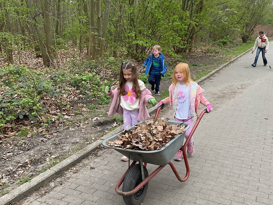 Ein Mädchen schiebt eine Schubkarre voll mit Laub.