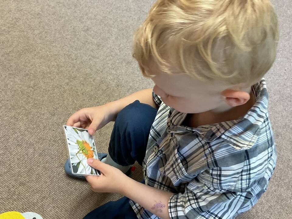 Ein Kind hält eine Karte mit einem Insekt in der Hand.