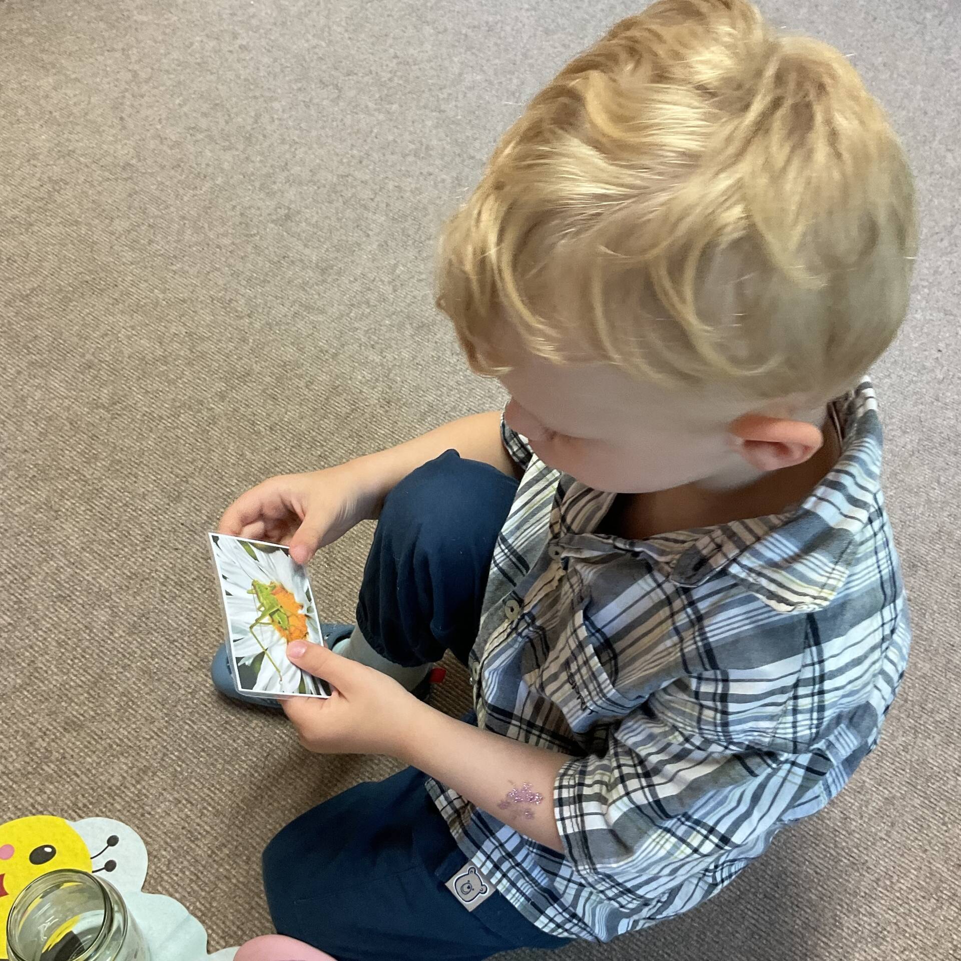 Ein Kind hält eine Karte mit einem Insekt in der Hand.