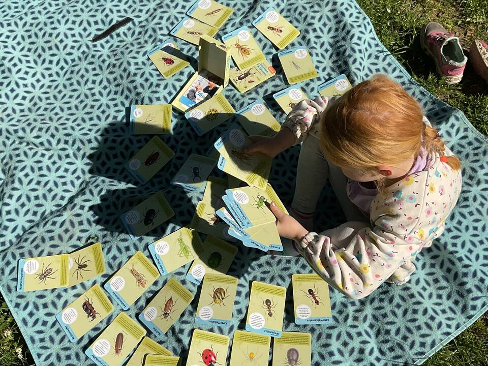 Ein Kind sitzt mit vielen Insektenkarten auf einer Picknickdecke.