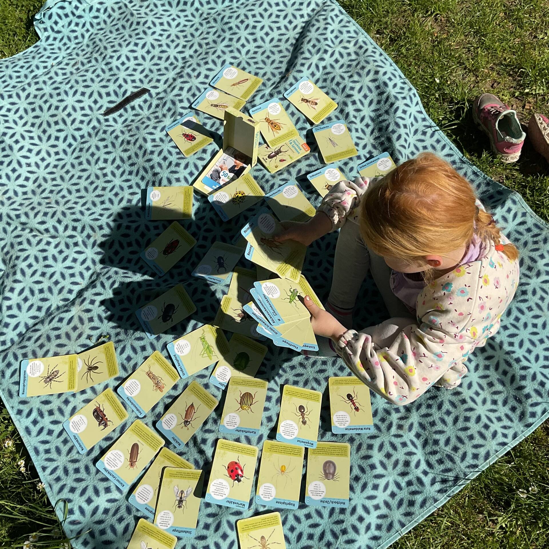 Ein Kind sitzt mit vielen Insektenkarten auf einer Picknickdecke.