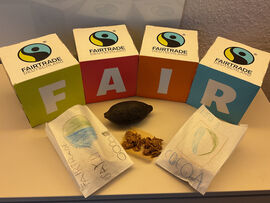 Wo kommt eigentlich die Schokolade her? 