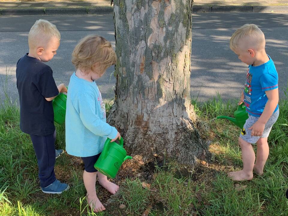 Drei Kinder stehen an einem Baum, eines gießt den Baum