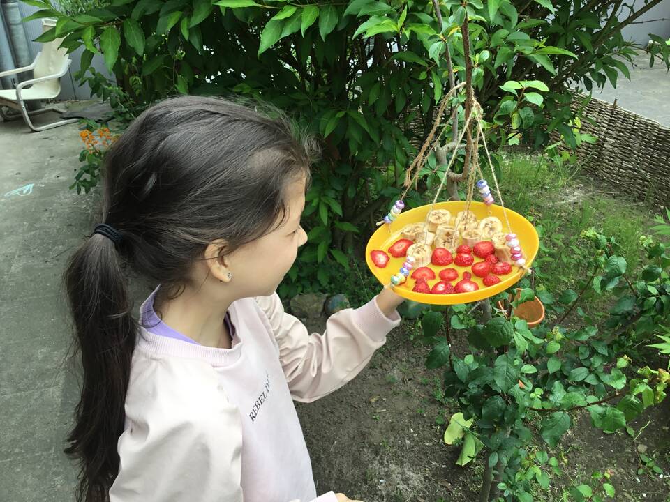 Ein Mädchen schaut auf einen Obstteller der an einem Strauch 