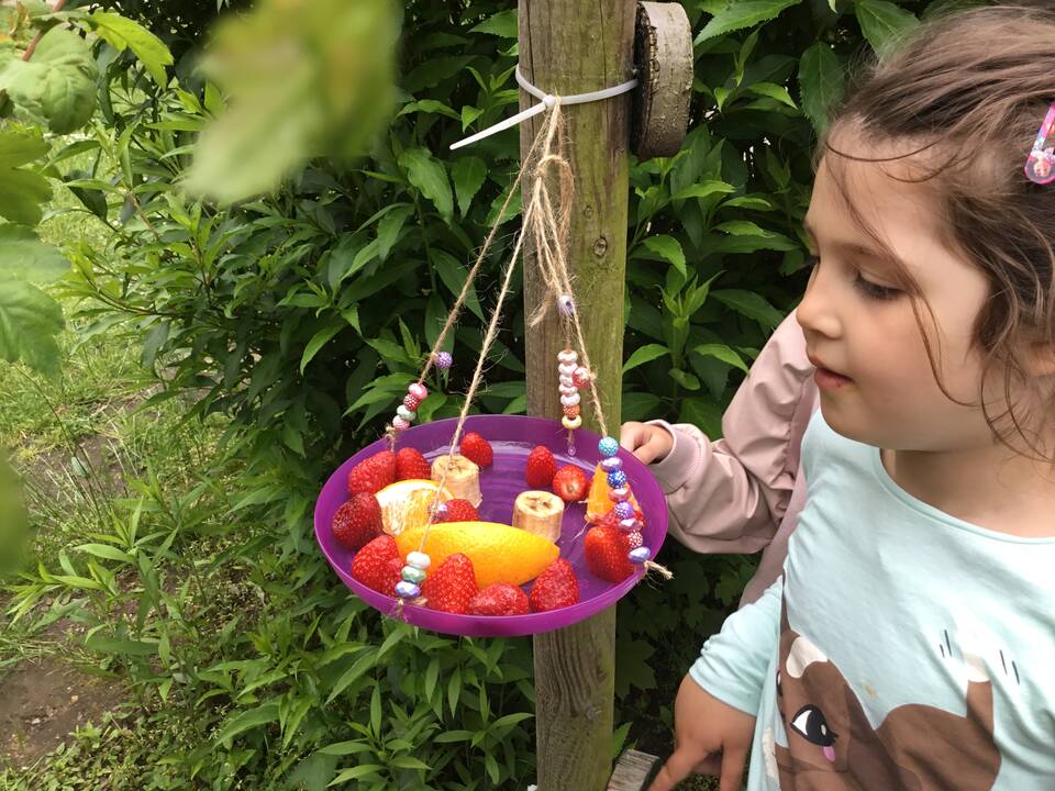 Ein Mädchen schaut auf einen Obstteller der an einem Baum