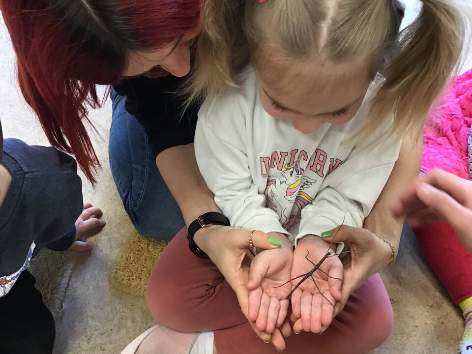 EIn Mädchen hät eine Stabheuschrecke in der Hand.