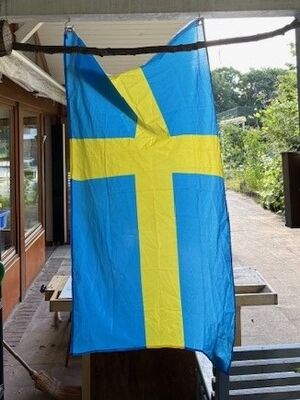 Eine schwedische Fahne