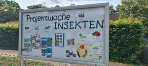 Ein Schaukasten mit Ergebnissen aus der Projektwoche.