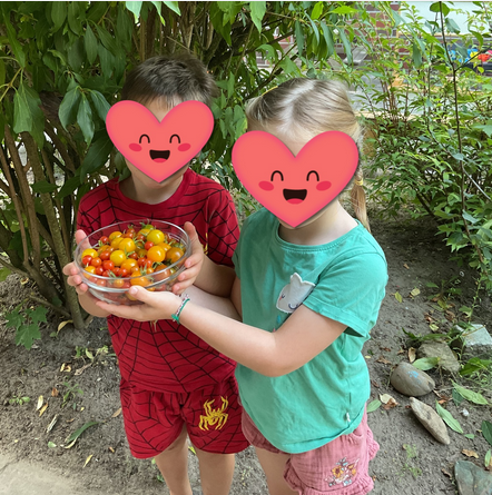 Zwei Kinder halten geerntete Tomaten in den Händen.
