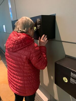 Eine Frau schaut in eine Ausstellungsbox.