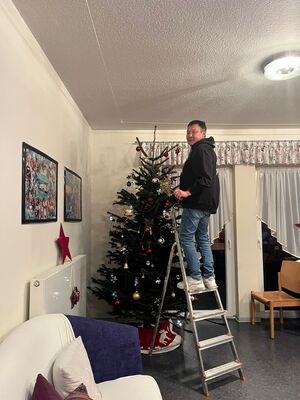 Eine Person steht auf einer Leiter am Tannenbaum.