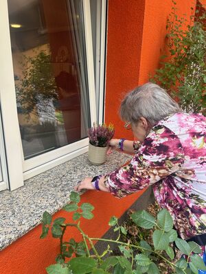 Eine Frau stellt eine Pflanze aussen auf die Fensterbank. 