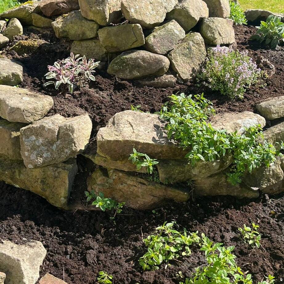 Die Kräuterspirale aus einer anderen Perspektive.