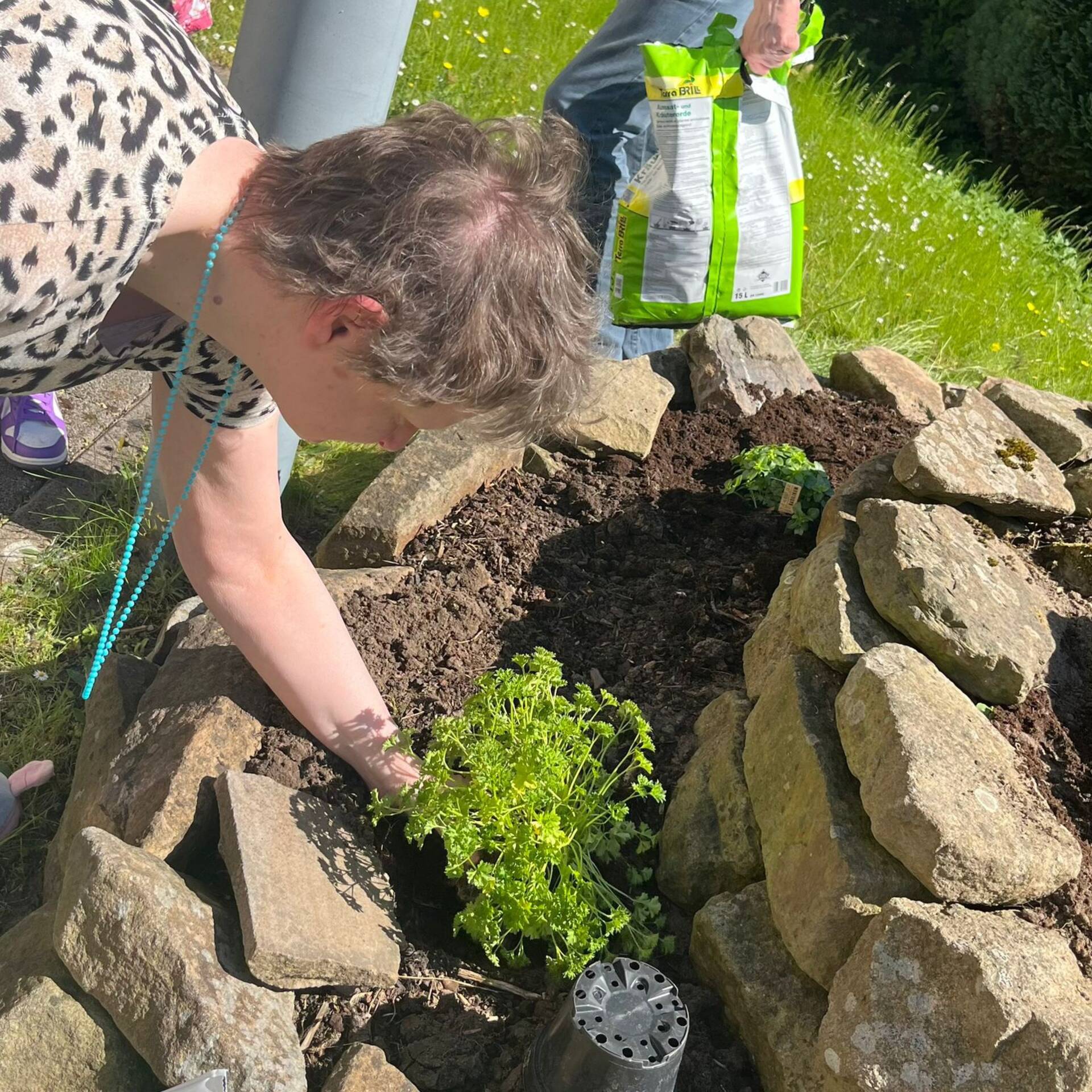Eine Person bepflanz die Spirale.