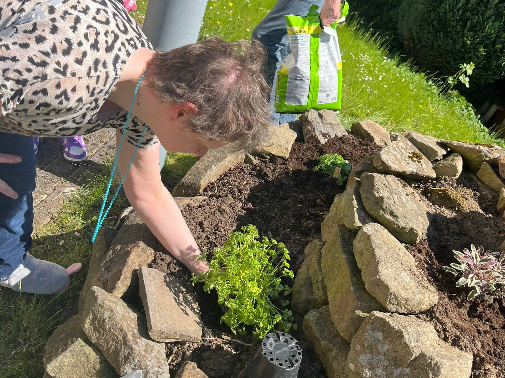 Eine Person bepflanz die Spirale.
