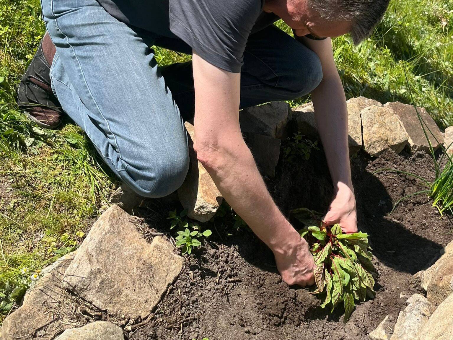 Eine Person bepflanz die Spirale.