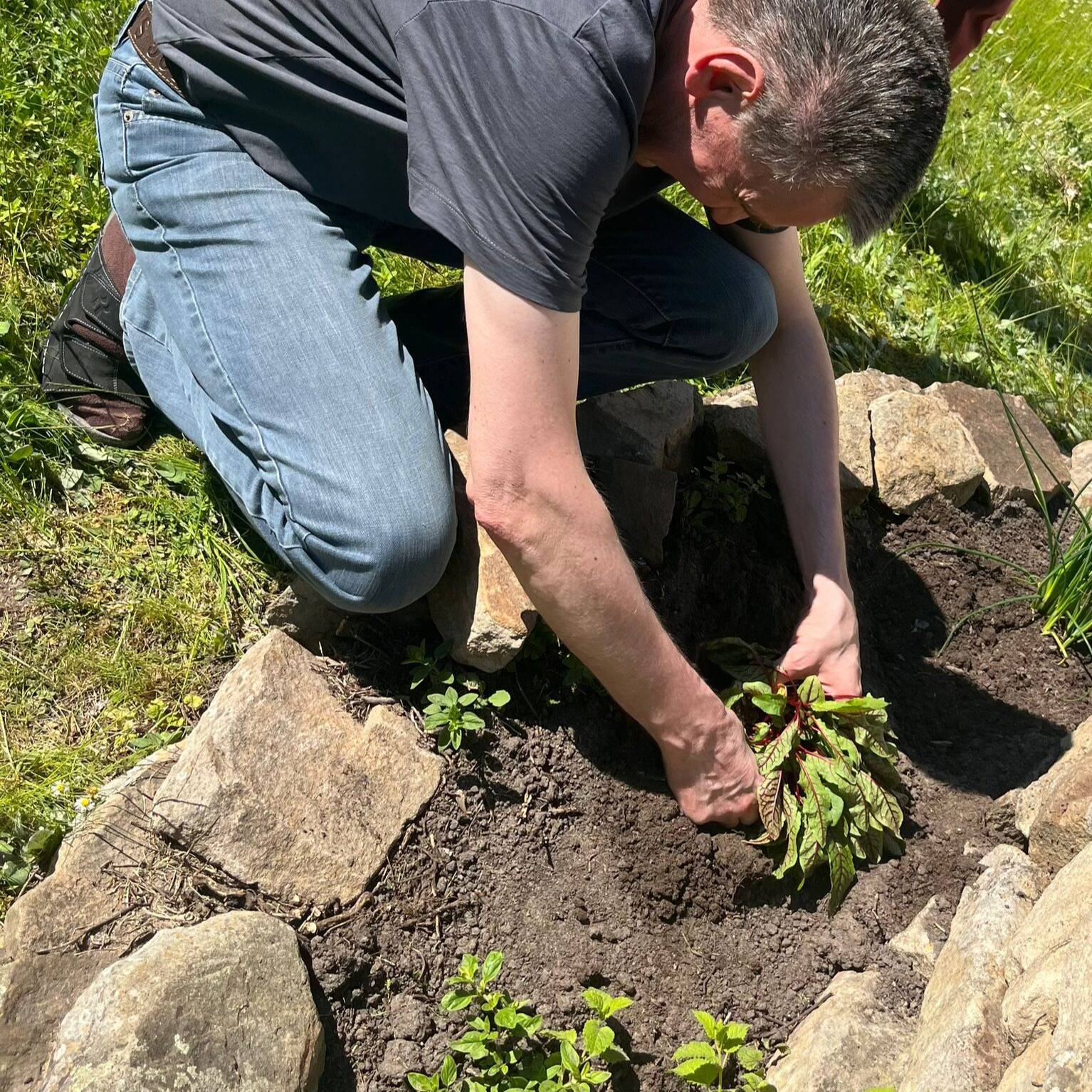 Eine Person bepflanz die Spirale.