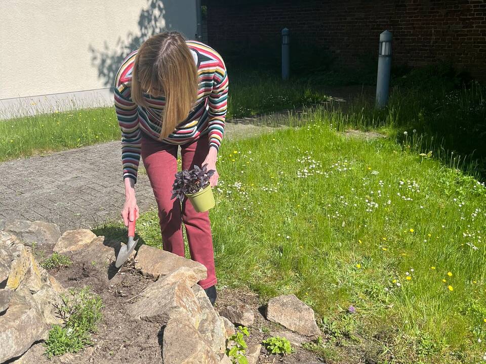 Eine Person bepflanz die Spirale.