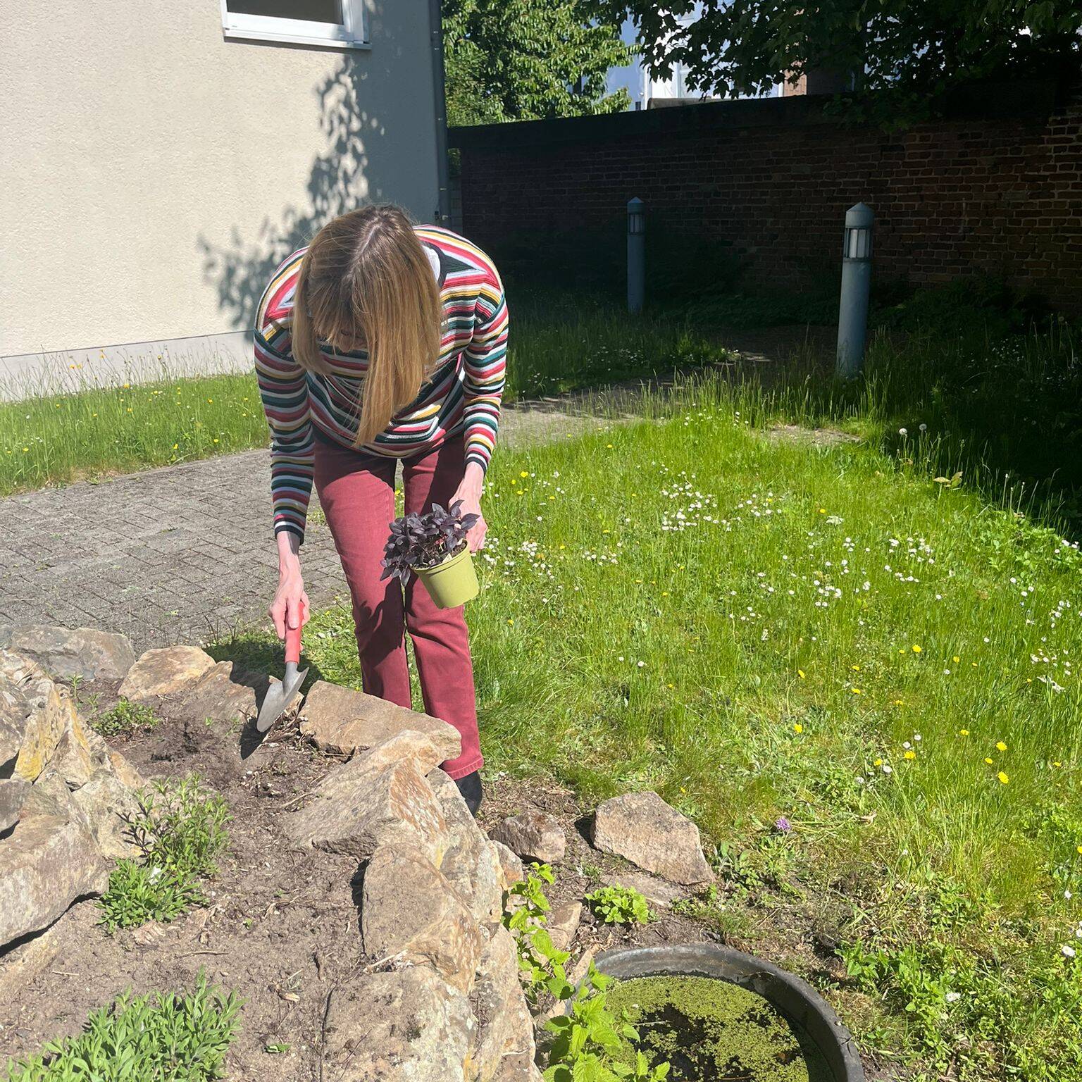 Eine Person bepflanz die Spirale.