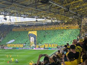 Die BVB Fans machen im Puplikum Bilder.