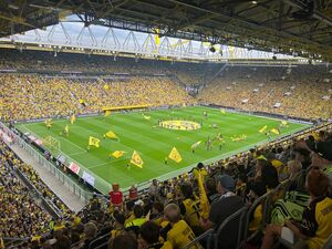 Auf dem Spielfeld laufen Fahnenträger.