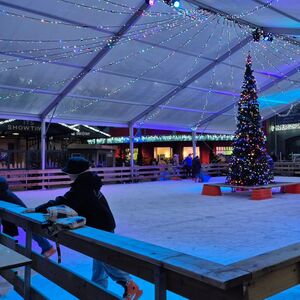 Eine Eisbahn mit einem Tannebaum in der Mitte.