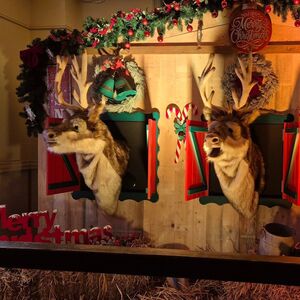 Zwei Dekorentiere auf einer Holzwand.