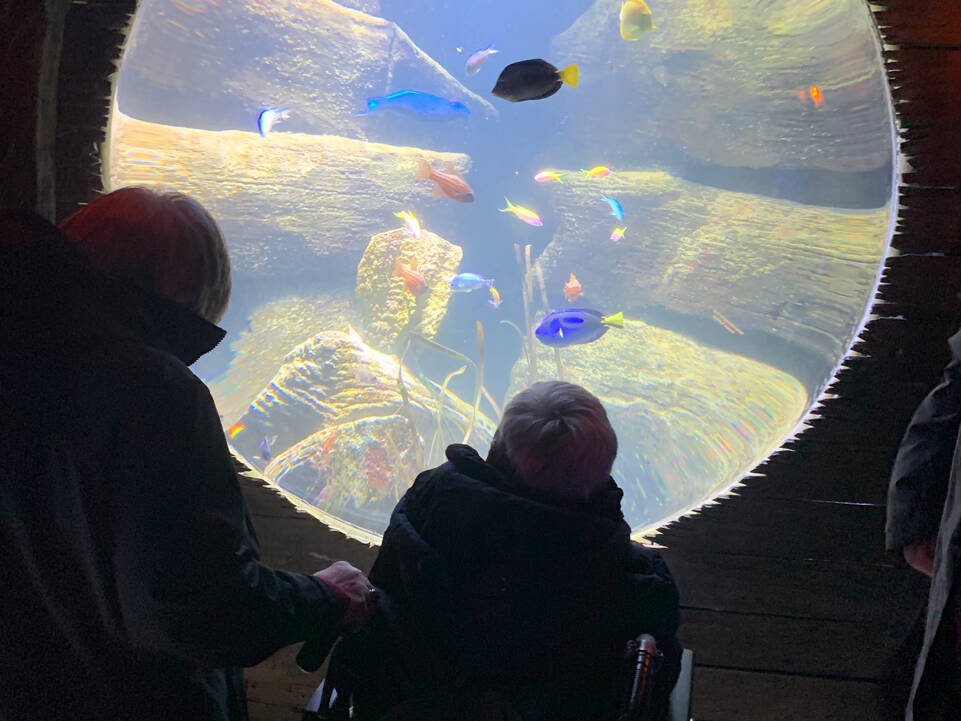 Ein Mensch im Rollstuhl vor einem Aquarium.