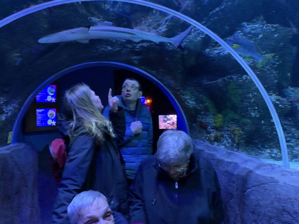 Menschen in einer großen Glasröhre im Wasser.