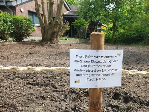 So nachhaltig ist die inklusive Kita Löwenzahn